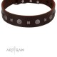 "Pure Sensation" Exclusive FDT Artisan Brown Leather Dog Collar with Fancy Brooches and Studs